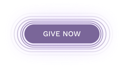 give now btn